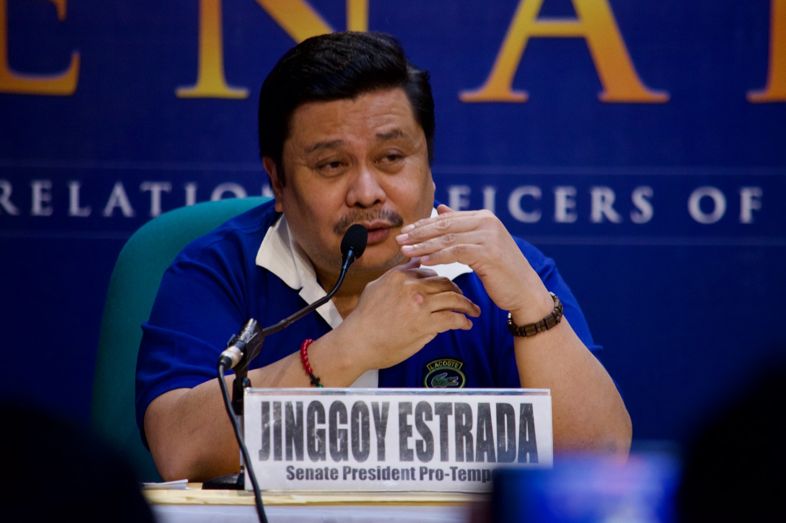 Senate President Pro-Tempore Jinggoy Estrada.