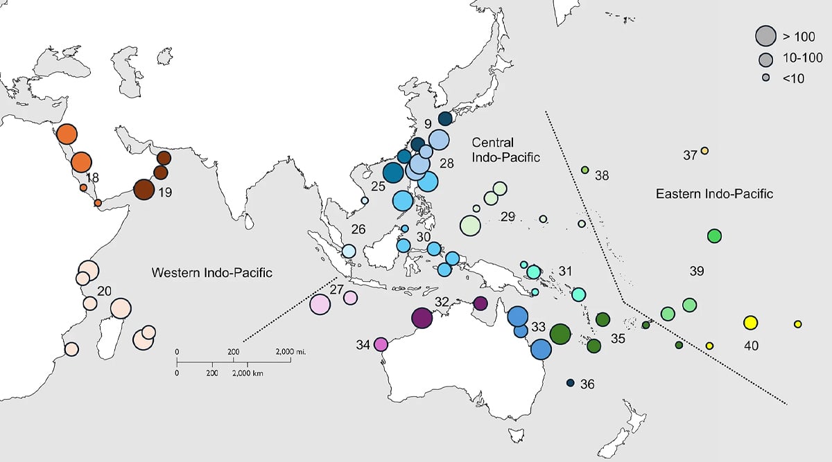 West PH Sea, Benham Bank among world’s richest soft coral habitats, new study finds