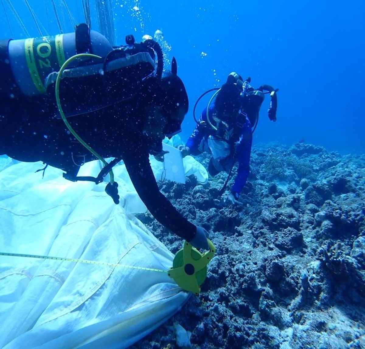 Filipino divers inspecting the parachute anchor placed by Chinese maritime militia. Photo from the Philippine Coast Guard