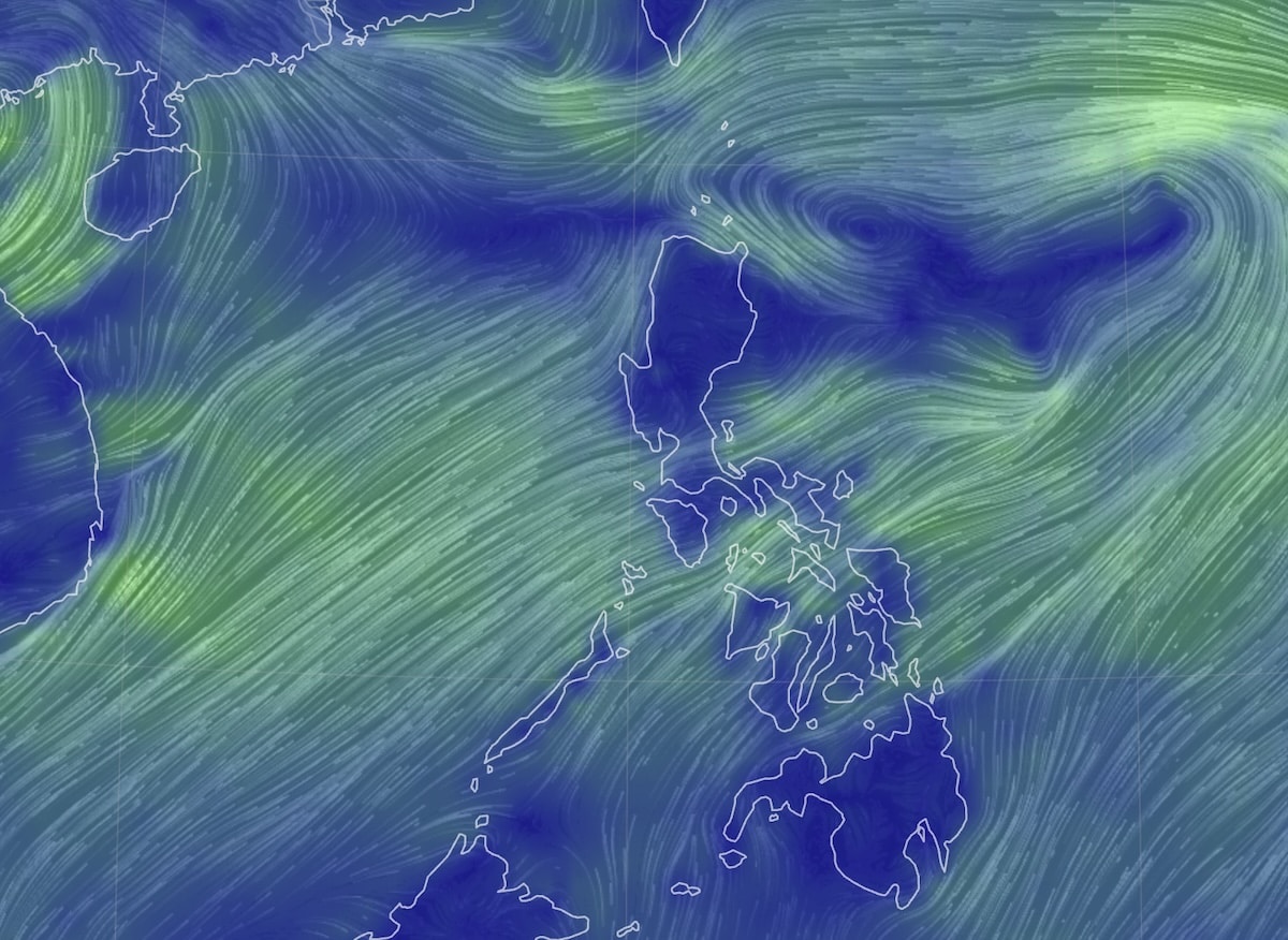 LIVE UPDATES: Tropical Depression Dante thumbnail