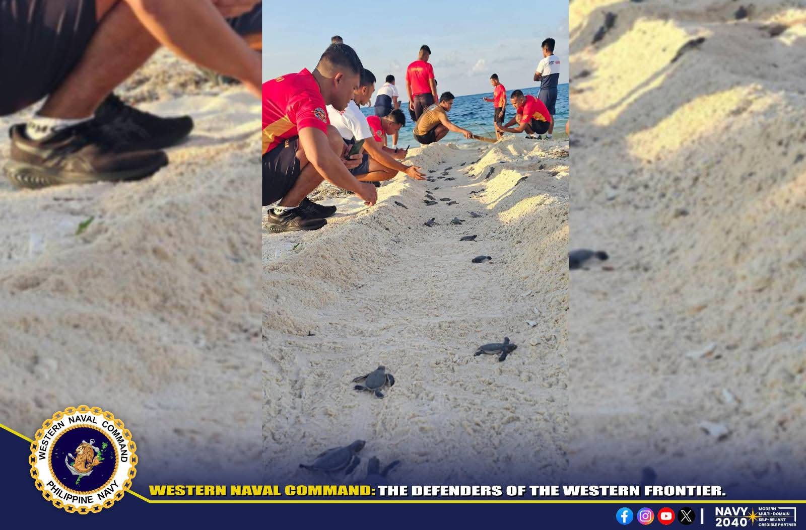 Navy personnel release sea turtle hatchlings to WPS